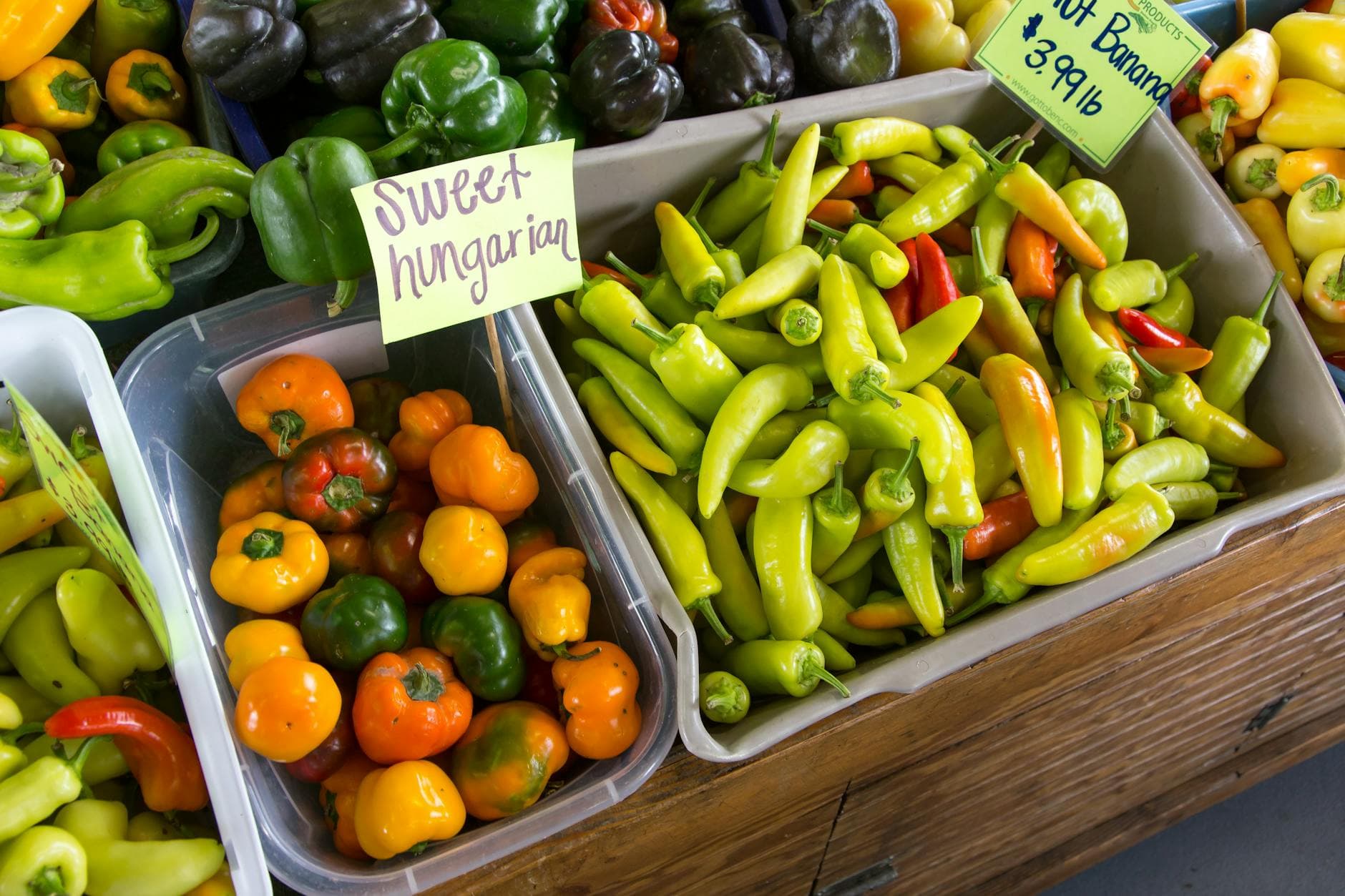 A colorful display of fresh peppers at a farmers market stall