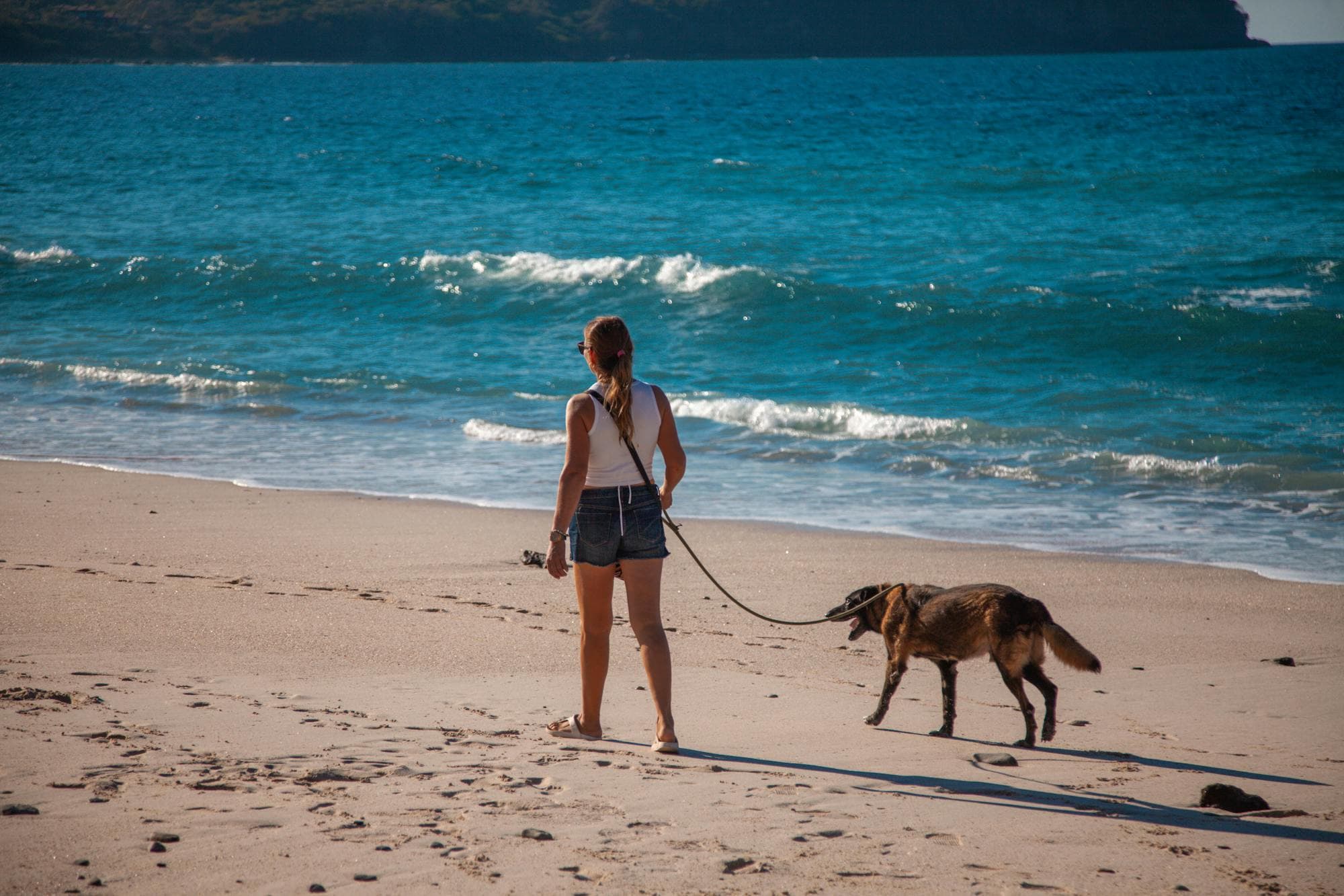 A woman walking her dog along the beach in Puerto Vallarta