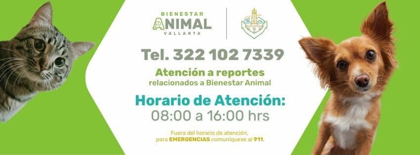 Bienestar Animal Puerto Vallarta