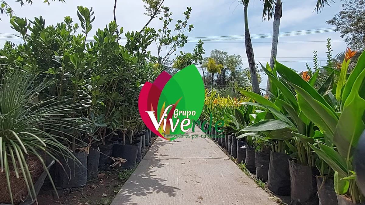 Grupo Viverde