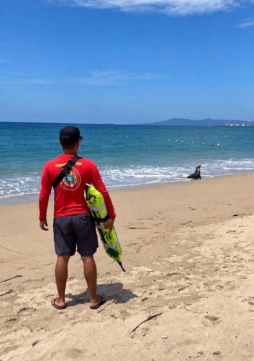 ๐ฆญ๐ An unexpected visitor! A sea lion rests on Camarones Beach